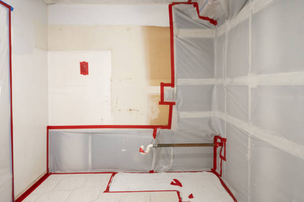 Asbestos and Lead Testing During Mold Inspection in Gamerco, NM