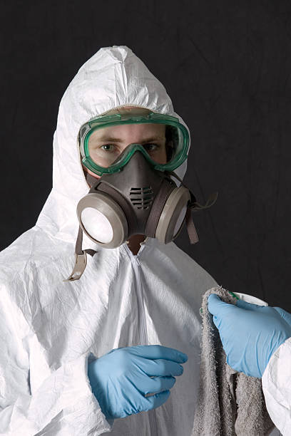Trusted Gamerco, NM Mold Removal Experts